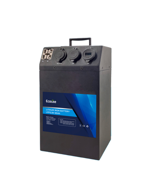 Προσαρμοσμένο Protable ισχύ LiFePO4 μπαταρία λιθίου 12.8V 80Ah AC DC power bank